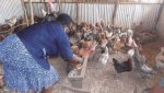 huhcs6ezudupovg4ah59ea610ceb847.jpg