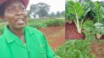 spinach-696x387.jpg
